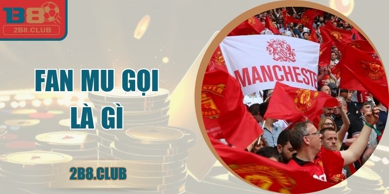Fan Mu Gọi Là Gì ? Khám Phá Biệt Danh Cùng Nền Tảng B8
